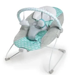 Ingenuity Bouncers>Bouncity Bounce Vibrating Deluxe Bouncer - Goji