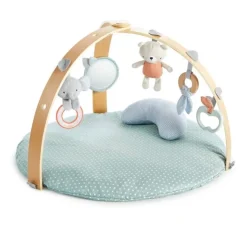 Ingenuity Activity Toys>Cozy Spot Reversible Duvet Activity Gym - Loamy