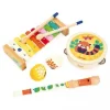 Janod Musical Toys>Gioia Musical Set