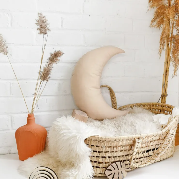 The Butter Flying Pillows>Moon Pillow