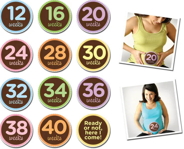 Sticky Bellies Milestones>- Oh Sew Ready