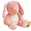 Itzy Ritzy Plush Toys>Sweetie Snuggles Plush Toy
