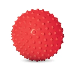 EduShape Sensory Toys>The Original Sensory Ball