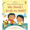 Harper Collins Canada Books|Books>Why Should I Brush My Teeth Flap Book
